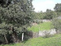 Bayramiç Karaibrahimler Köyü  Resimleri 3