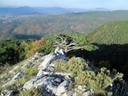 Bayramiç Karıncalı Köyü  Resimleri 2