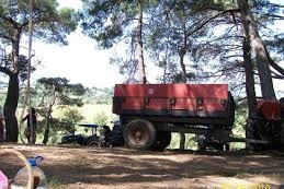 Bayramiç Koşuburnu Köyü Resimleri 4