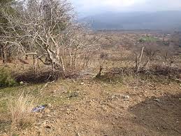 Bayramic  Kseler Köyü Resimleri 3