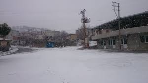 Bayramiç Kuşçayır Köyü Resimleri 1