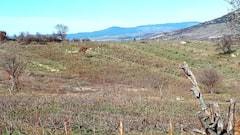 Bayramiç Kuşçayır Köyü Resimleri 4