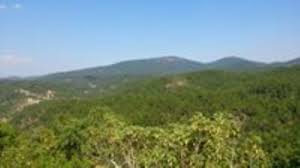 Bayramiç Kuşçayır Köyü Resimleri 8