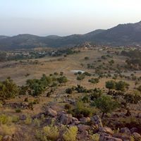 Yunusemre Davutlar Köyü Resimleri 1