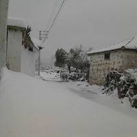 Yunusemre Davutlar Köyü Resimleri 17