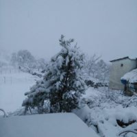 Yunusemre Davutlar Köyü Resimleri 18