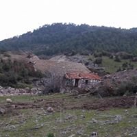 Yunusemre Davutlar Köyü Resimleri 21