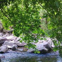 Yunusemre Davutlar Köyü Resimleri 3