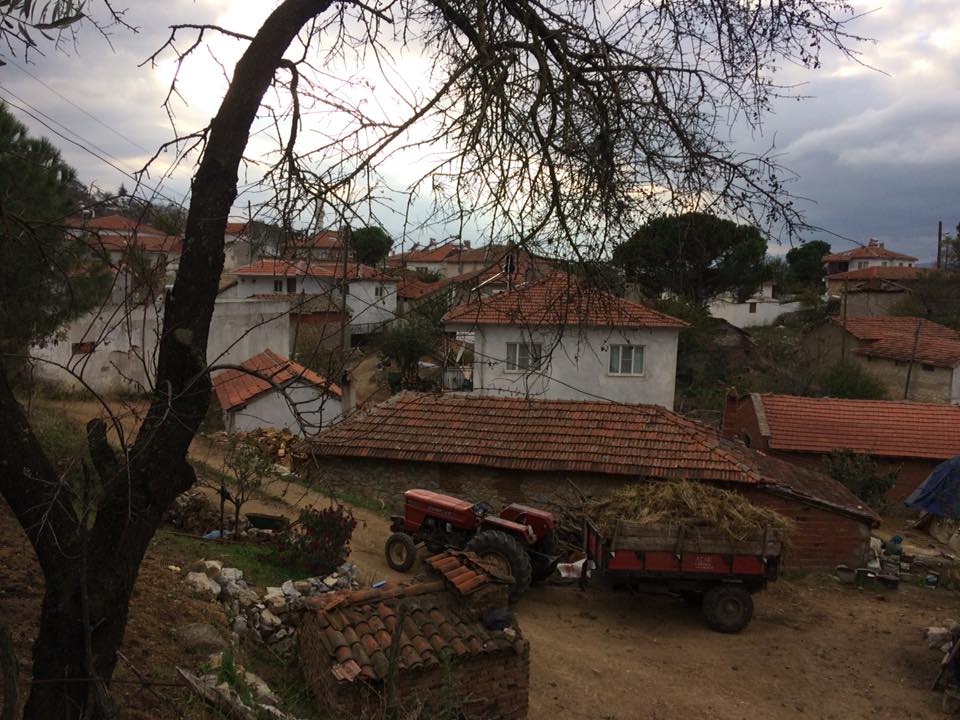 İvrindi Soğanbükü Köyü Resimleri 9