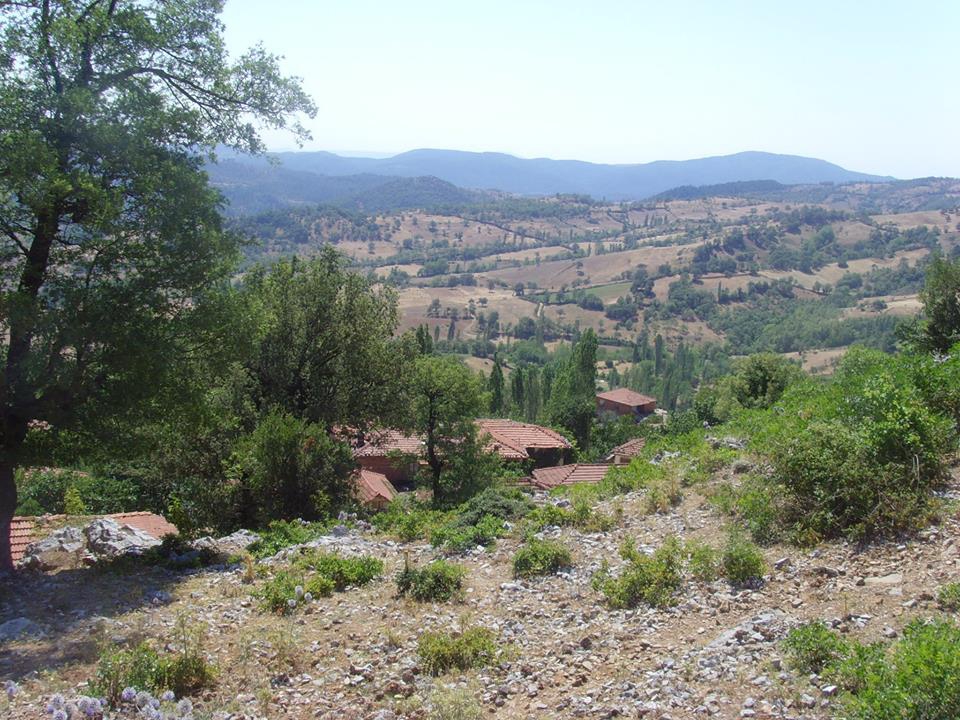 İvrindi Taşdibi Köyü Resimleri 3