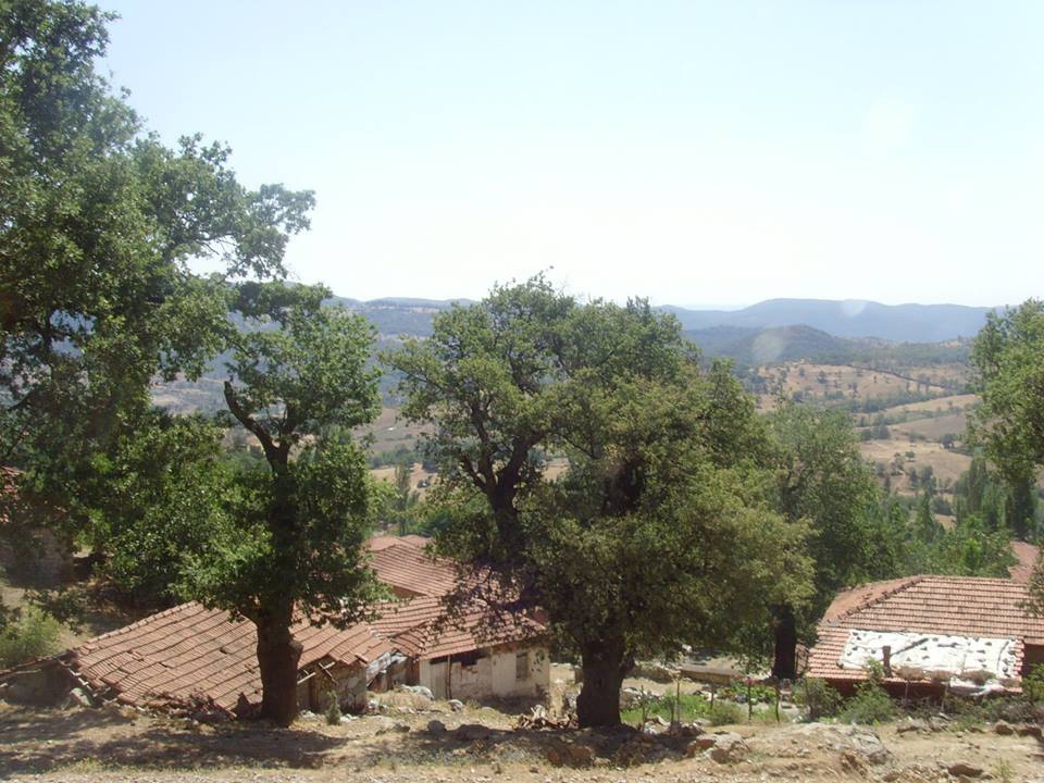 İvrindi Taşdibi Köyü Resimleri 4