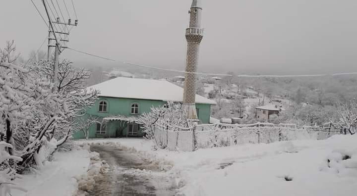 Bayramiç Muratlar Köyü Resimleri 3