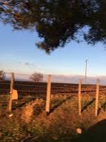 Bayramiç  Nebiler Köyü Resimleri 1