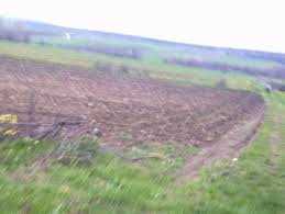 Bayramiç Osmaniye Köyü Resimleri 3