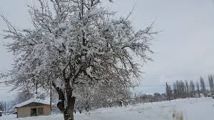 Bayramiç Örenli Köyü  Resimleri 2