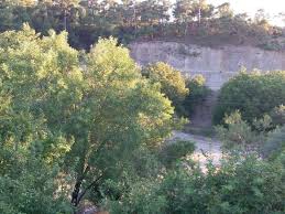 Bayramiç Örenli Köyü  Resimleri 4