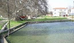 Bayramiç Pınarbaşı Köyü Resimleri 1