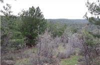 Bayramiç Pıtıreli Köyü Resimleri 4