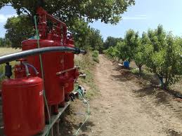 Bayramiç Pıtıreli Köyü Resimleri 7