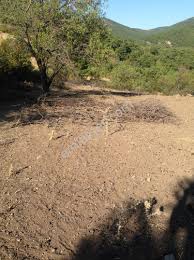 Bayramiç Sarıdüz Köyü Resimleri 1