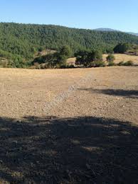 Bayramiç Sarıdüz Köyü Resimleri 3