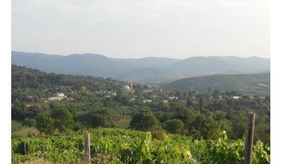 Bayramiç Serhat Köyü  Resimleri 1