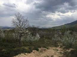 Bayramiç Serhat Köyü  Resimleri 11