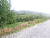 Bayramiç Tongurlu Köyü Resimleri 6