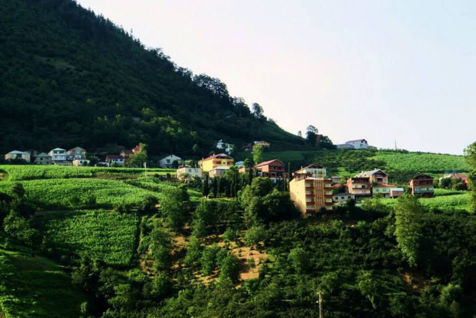 Akçaabat Işıklar Köyü Resimleri 3