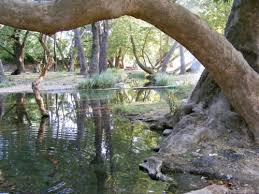 Bayramiç Türkmenler Köyü  Resimleri 3