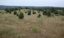 Bayramiç Türkmenler Köyü  Resimleri 7