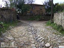 Bayramiç Üzümlü Köyü Resimleri 1