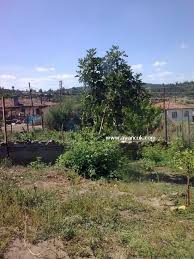 Bayramiç Üzümlü Köyü Resimleri 5