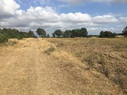 Bayramiç Üzümlü Köyü Resimleri 8