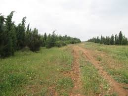 Bayramiç Yahşieli Köyü Resimleri 8