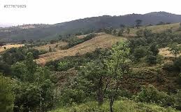 Bayramiç Yeşilköy Köyü  Resimleri 4