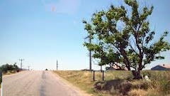 Bayramiç Yiğitaliler Köyü  Resimleri 2