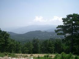 Bayramiç Yiğitaliler Köyü  Resimleri 3