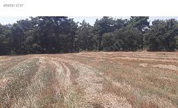 Bayramiç Yiğitaliler Köyü  Resimleri 5