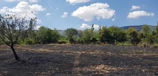 Bayramiç Yukurışapçı Köyü  Resimleri 1