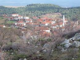 Bayramiç Zerdalilik Köyü  Resimleri 3
