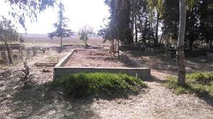 Bayramiç Zeytinli Köyü  Resimleri 4