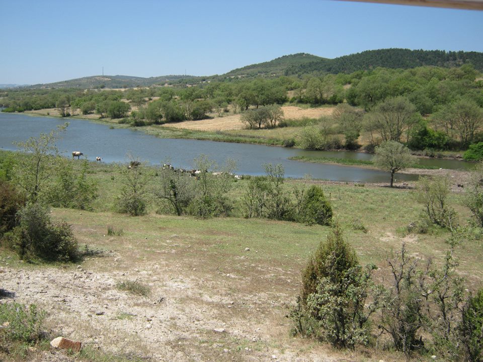İvrindi Yeşilköy Köyü Resimleri 3