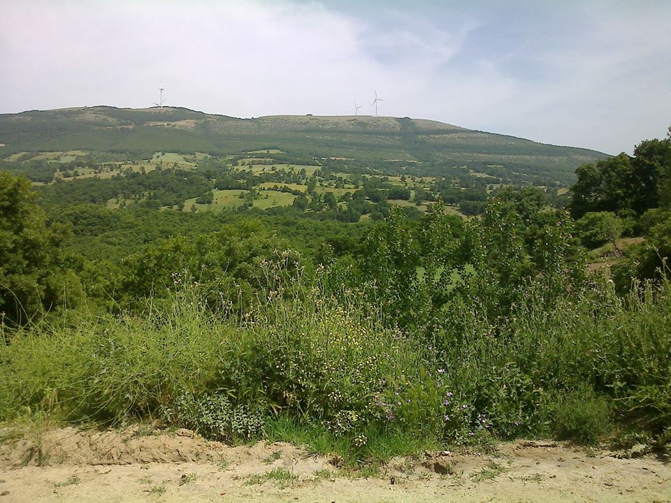 Karesi Düzoba Köyü Resimleri 3