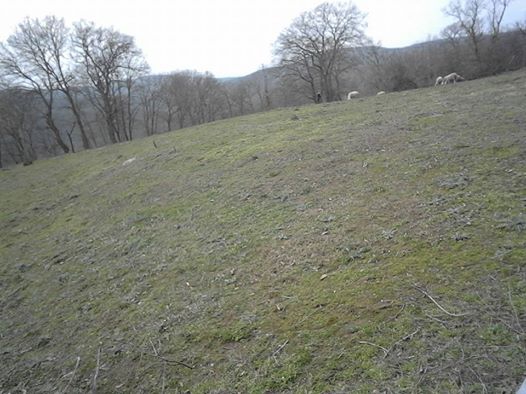 Karesi Hisaralan Köyü Resimleri 2