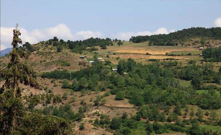 Artvin Ardanuç Akarsu Köyü Resimleri 10