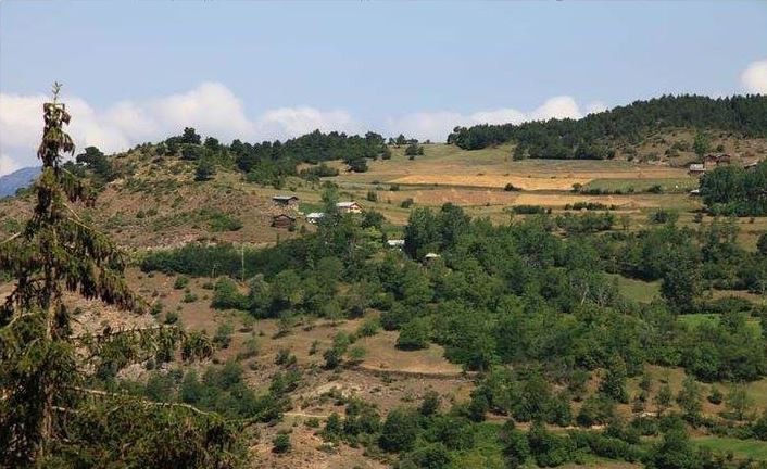 Artvin Ardanuç Akarsu Köyü Resimleri 14