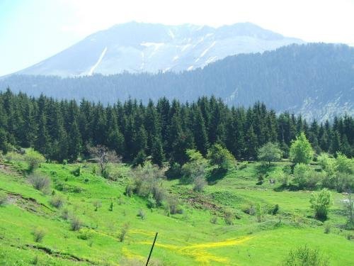 Artvin Ardanuç Akarsu Köyü Resimleri 3