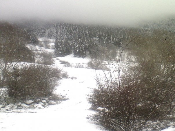 Artvin Ardanuç Akarsu Köyü Resimleri 4