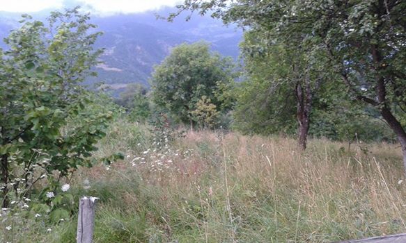 Artvin Ardanuç Akarsu Köyü Resimleri 5